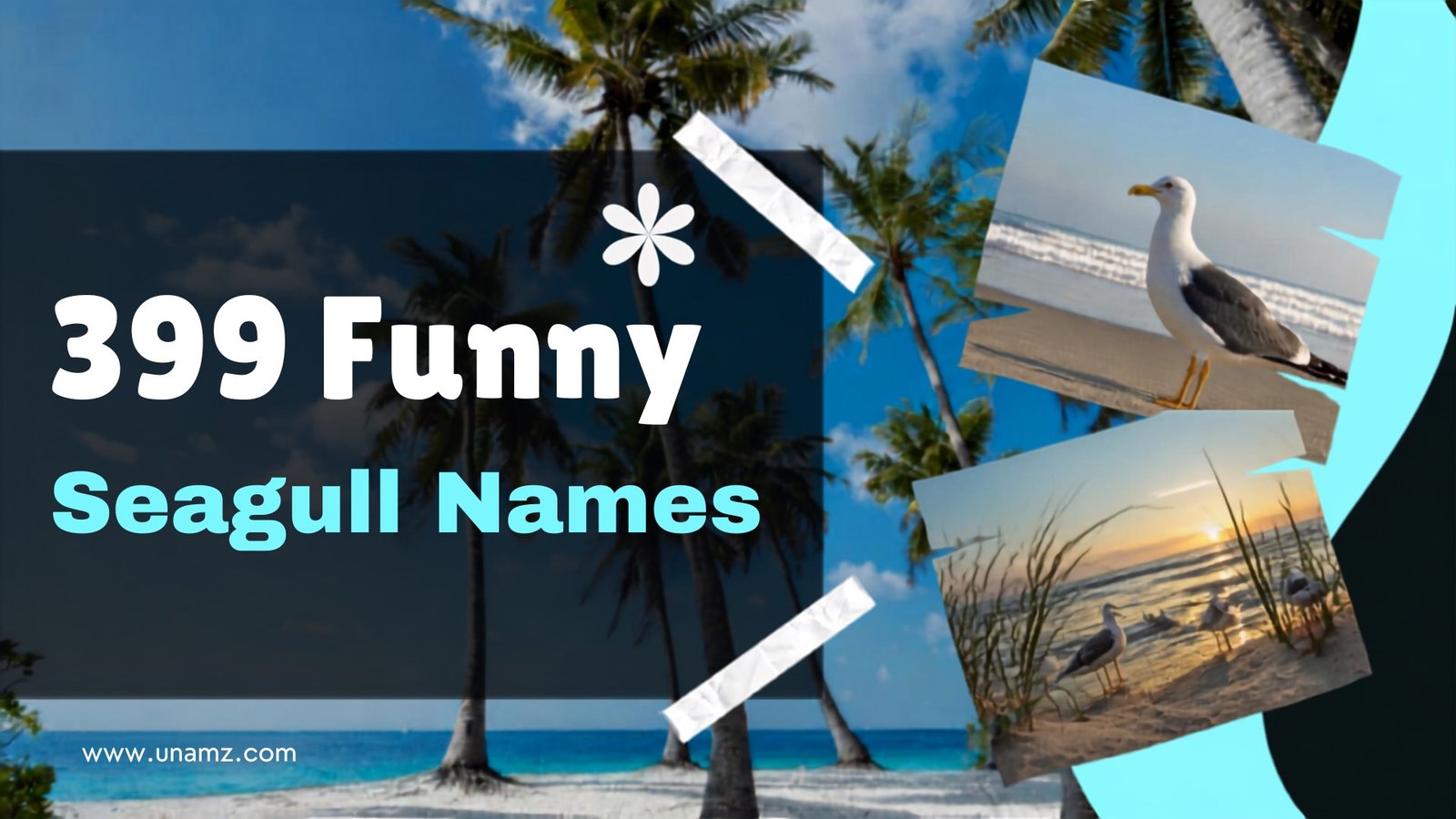 Seagull Names